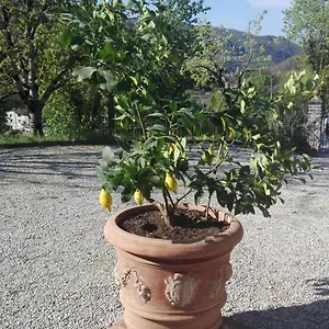  Appartamento Casina Di Vicchio
