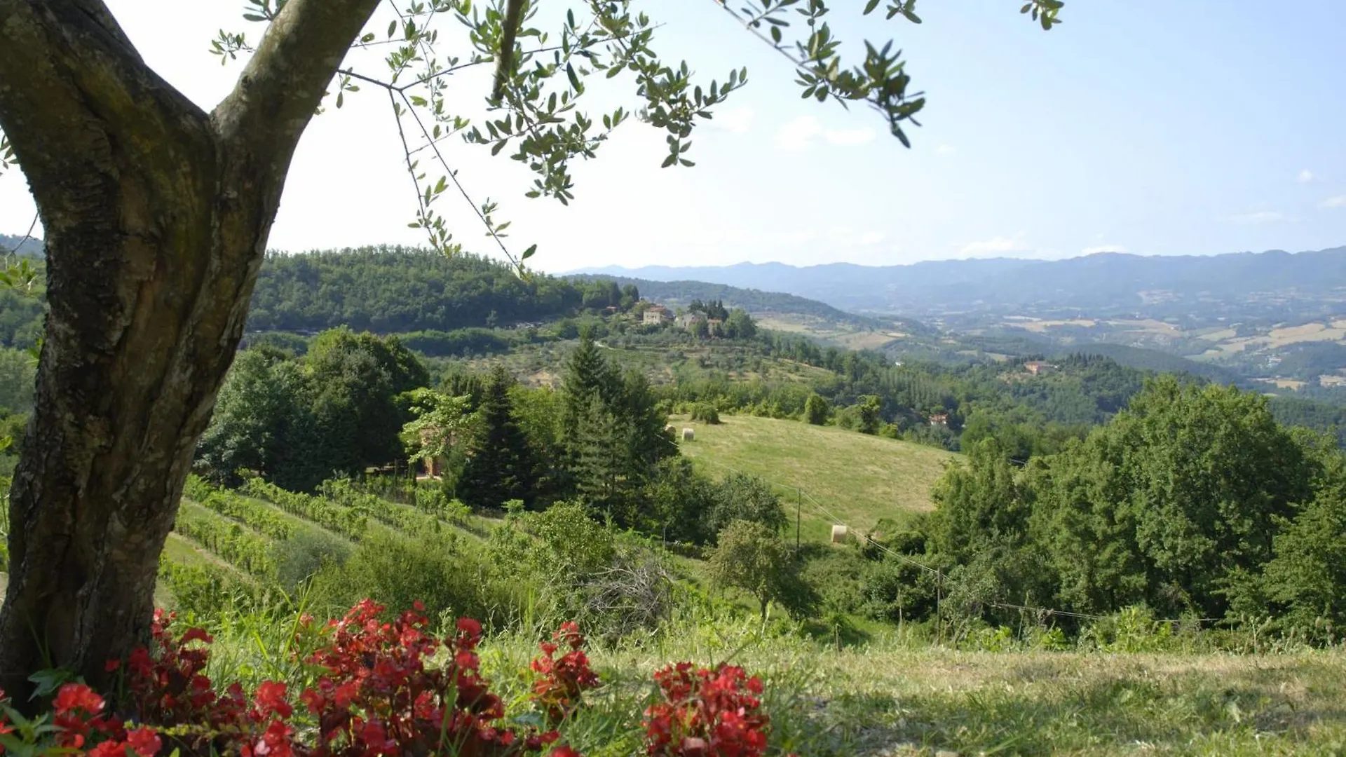 Appartamento La Fonte Dicomano 0*,  Italia